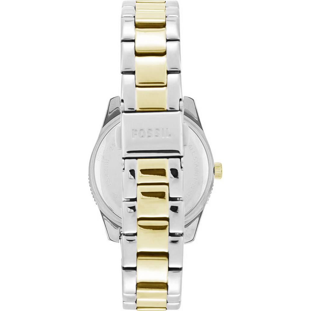 Montre Fossil ES4319 Scarlette Mini • EAN: 4053858930537 • Montre.be