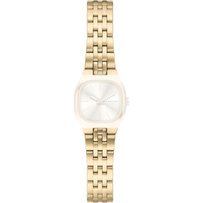 Bracelet Skagen ASKW3177 Mellem Micro