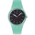 Montre Swatch Originals Large (41mm) SO29L103 Hint of Mint