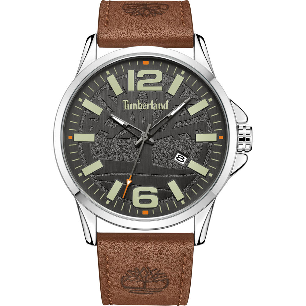 Montre Timberland TDWGB2131801 Bernardston