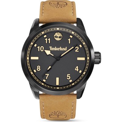 Montre Timberland TDWGA0109701 Henniker