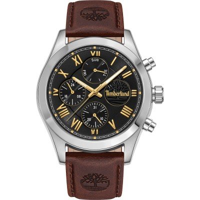 Montre Timberland TDWGF0082601 Ashmont