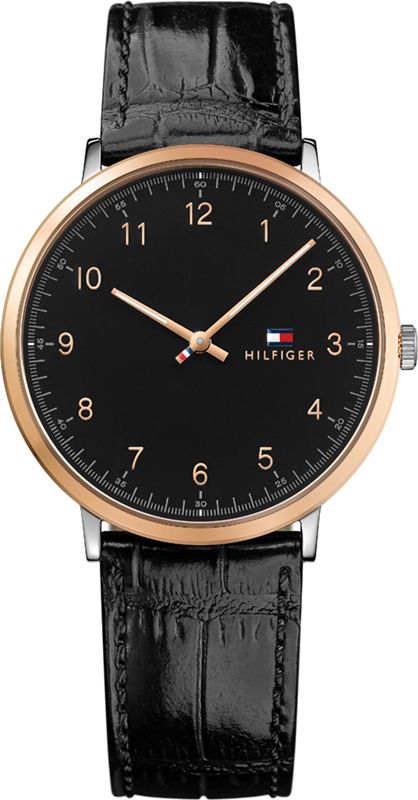 Tommy Hilfiger Tommy Hilfiger Watches 1791339 James montre