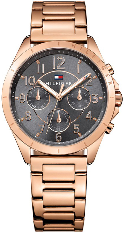 Tommy Hilfiger Tommy Hilfiger Watches 1781606 Kingsley montre